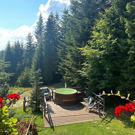 Lesna Bacowka Villa Nowy Targ Buitenkant foto