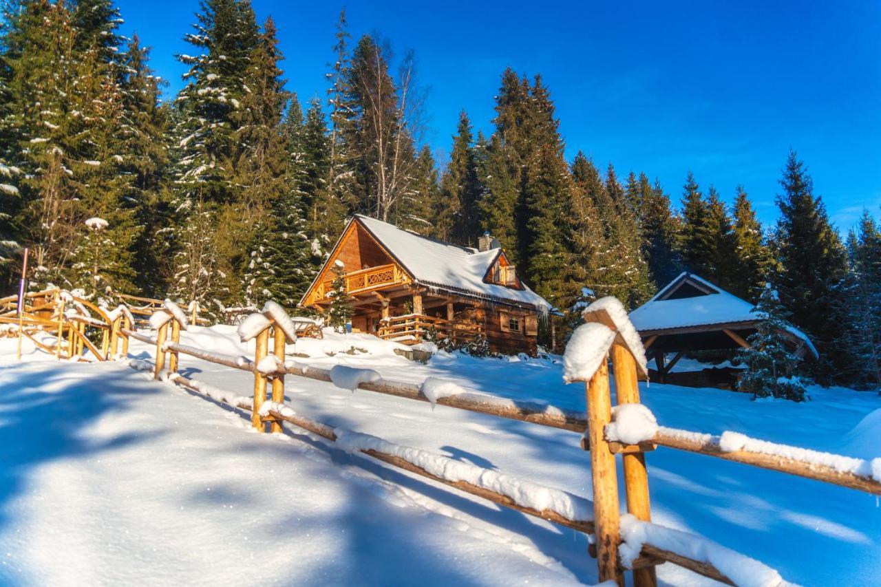 Lesna Bacowka Villa Nowy Targ Buitenkant foto