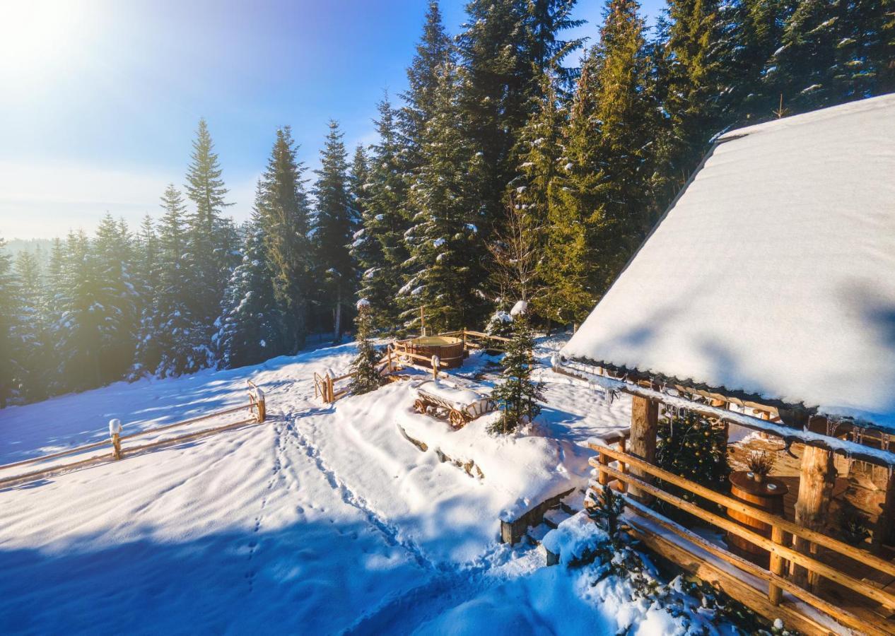 Lesna Bacowka Villa Nowy Targ Buitenkant foto