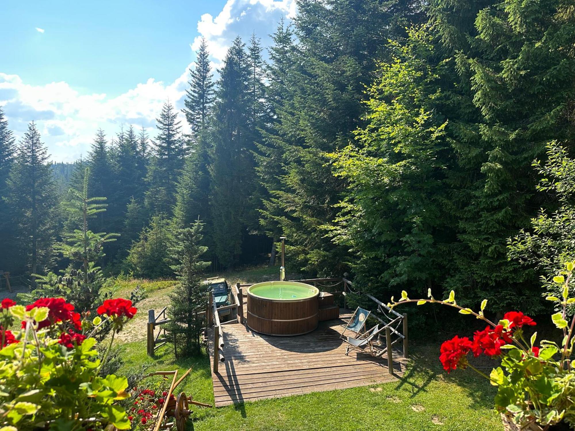 Lesna Bacowka Villa Nowy Targ Buitenkant foto