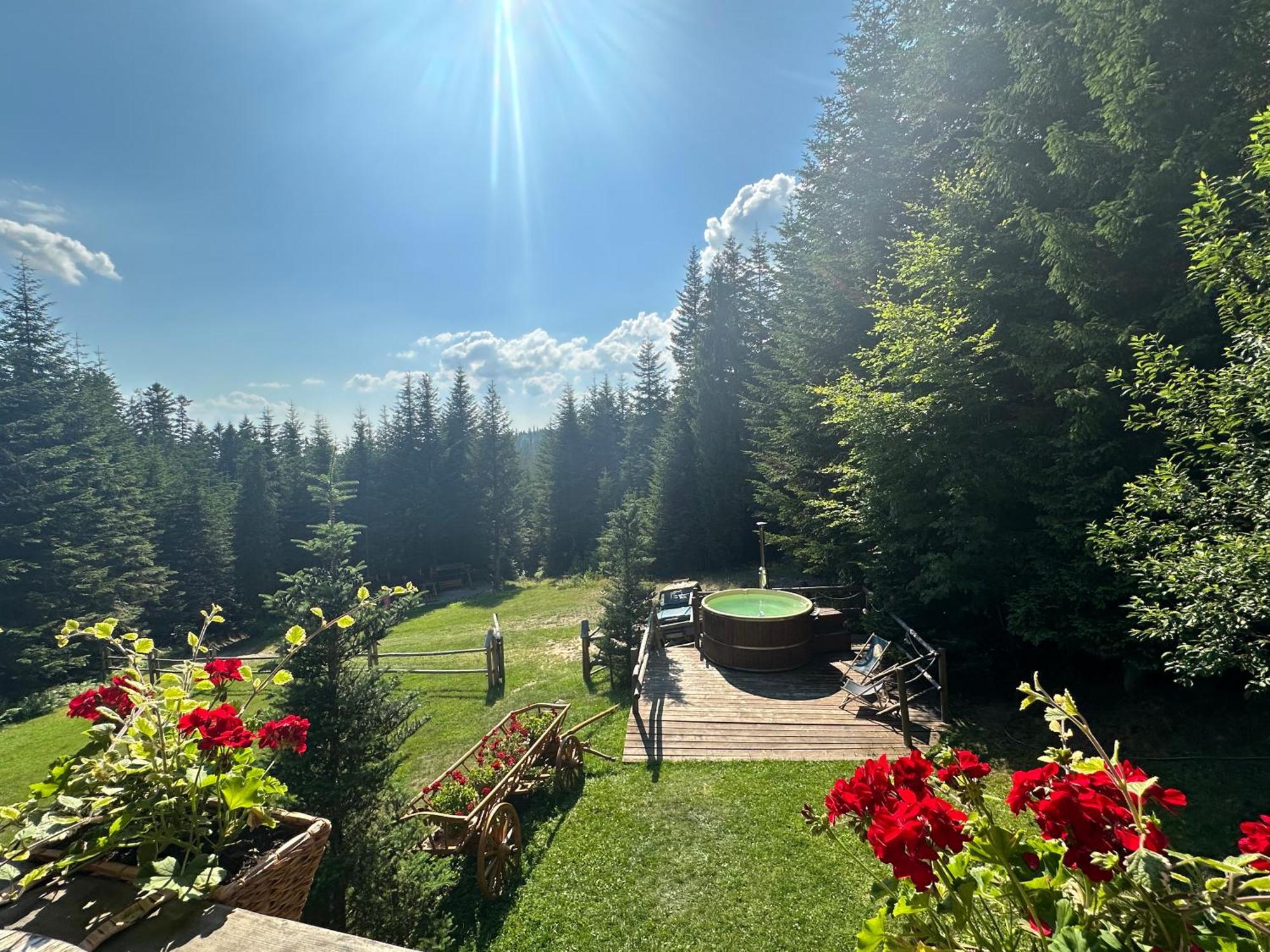 Lesna Bacowka Villa Nowy Targ Buitenkant foto