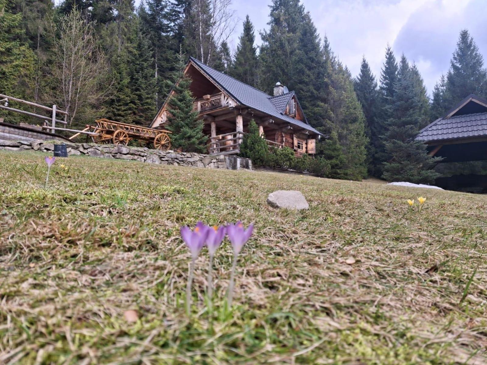 Lesna Bacowka Villa Nowy Targ Buitenkant foto