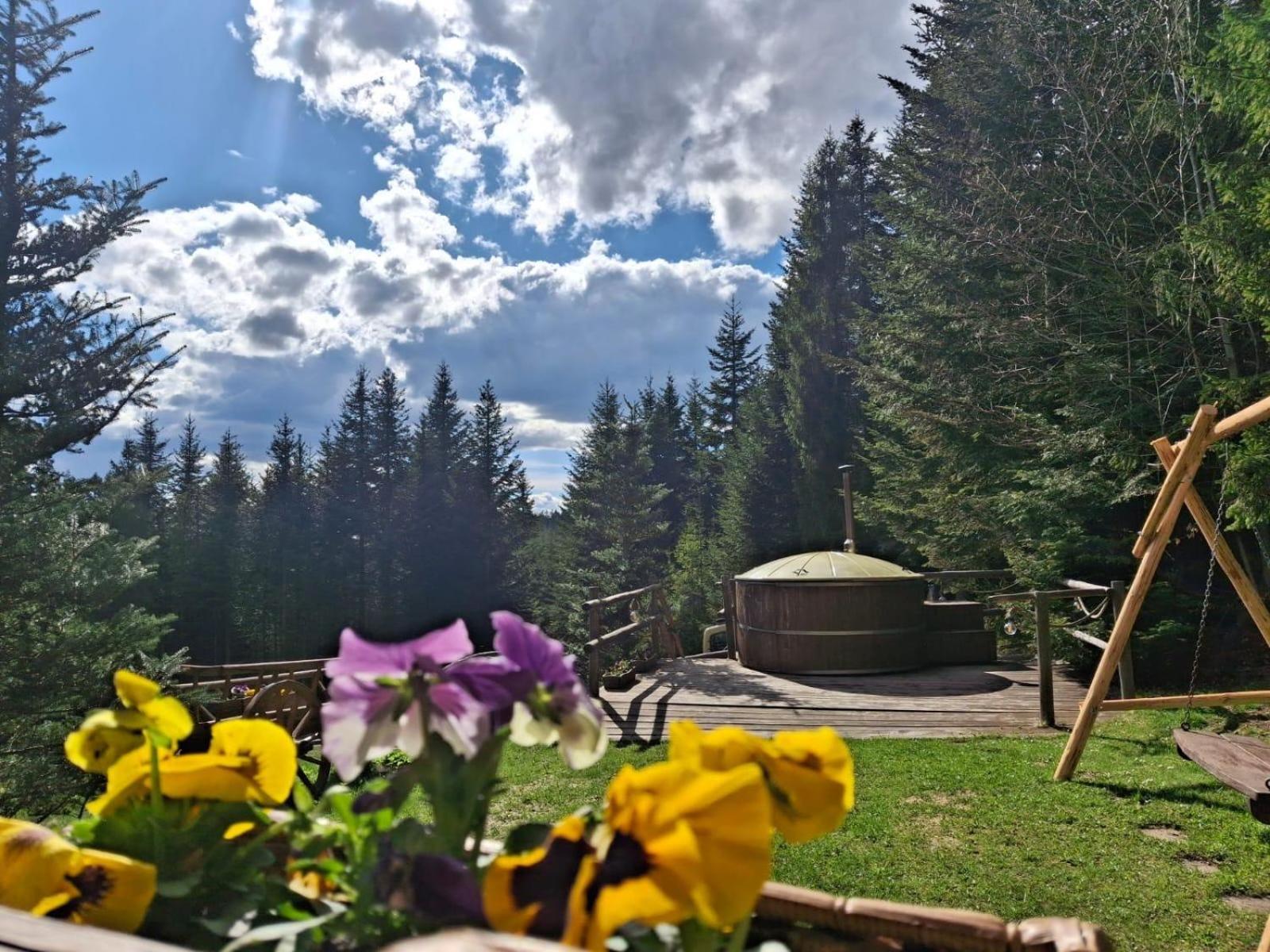 Lesna Bacowka Villa Nowy Targ Buitenkant foto